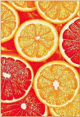 Ковер MANGO-A 11346-160